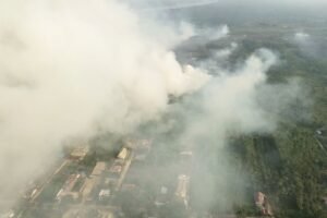 Terkait Karhutla, Menhut Cabut Izin Perusahaan Total Konsesi Capai 92.464 Hektare